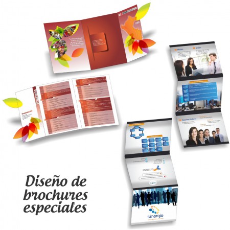 Desarrollo de Diseños Especiales.